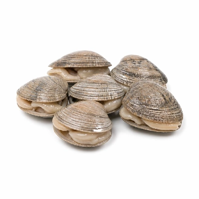 Legal Sea Foods Appetizers Clams Cherrystones 6 Piece