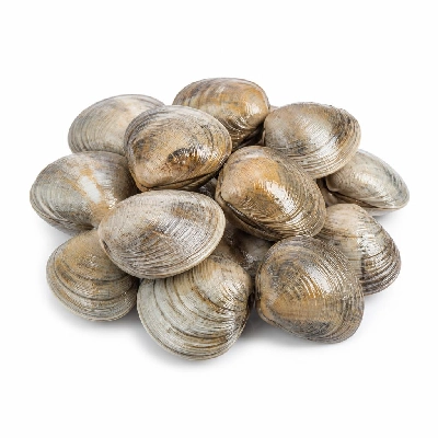 Legal Sea Foods Appetizers Clams Littleneck Steamers