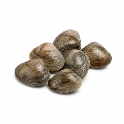 Legal Sea Foods Appetizers Clams Littlenecks 6 Piece