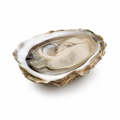 Legal Sea Foods Appetizers Oysters Legal
