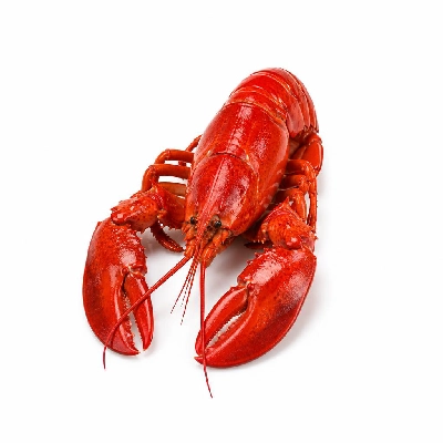 Legal Sea Foods Breakfast Lobster