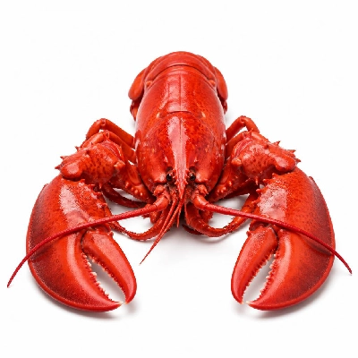 Legal Sea Foods Lobster Steamed 1.5 Pounds