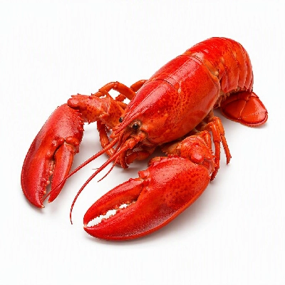 Legal Sea Foods Lobster Steamed 1.75 Pounds