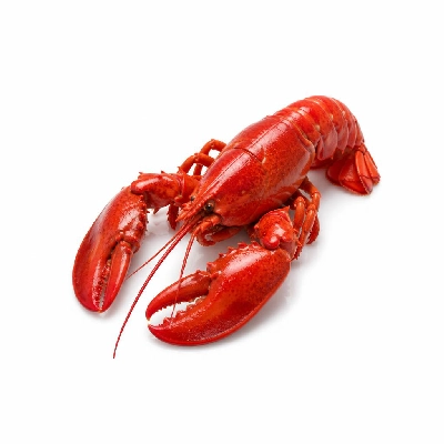 Legal Sea Foods Lobster Steamed 2.5 Pounds