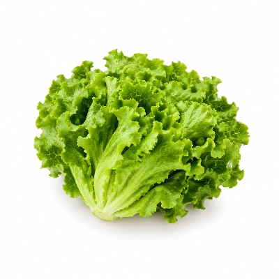 Lennys Grill & Subs Sandwich Add-Ons 5 Inch Lettuce