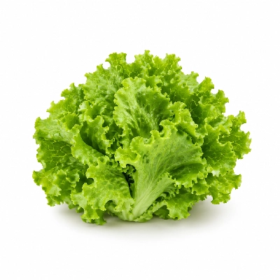 Lennys Grill & Subs Sandwich Add-Ons 7.5 Inch Lettuce