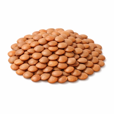 Lentils raw