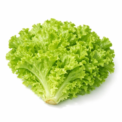 Lettuce green leaf raw