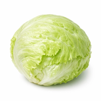 Lettuce iceberg raw
