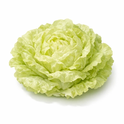 Lettuce raw (butterhead boston or bibb type)