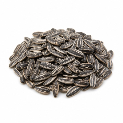 Mazzio's Pizza Salad Bar Sunflower Seeds