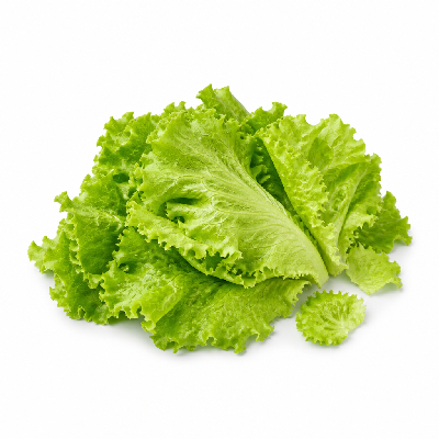 McAlister's Deli Green Leaf Lettuce