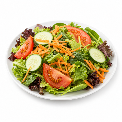 McAlister’s Deli Kids Garden Salad