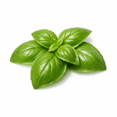 https://eato.health/food-images/feast/act/mellow-mushroom-fresh-basil-13221372-1.webp