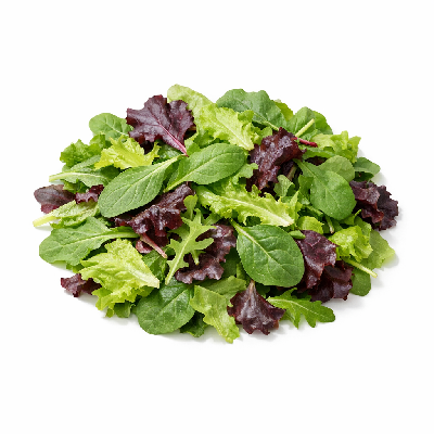 Mellow Mushroom Salad Bases Spring Mix