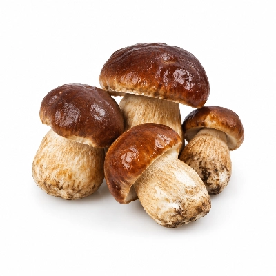 Miller & Carter Truffle Infused Porcini Mushroom Gluten Free Main Menu Scotland