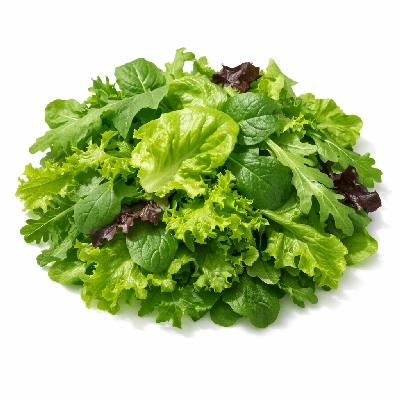 Mixed greens with vinaigrette