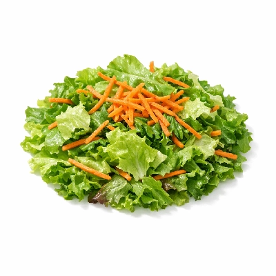 Mixed Salad with Carrots and Lettuce