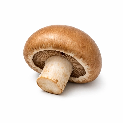 Mushrooms brown raw