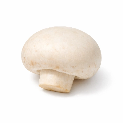 Mushrooms white raw
