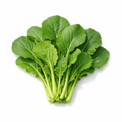 Mustard spinach tendergreen raw