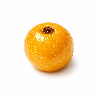 Nance canned syrup drained