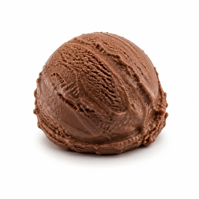 Nestlé Dreyer's Grand Ice Cream Chocolate