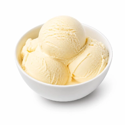 Nestlé Dreyer's Grand Ice Cream Double Vanilla