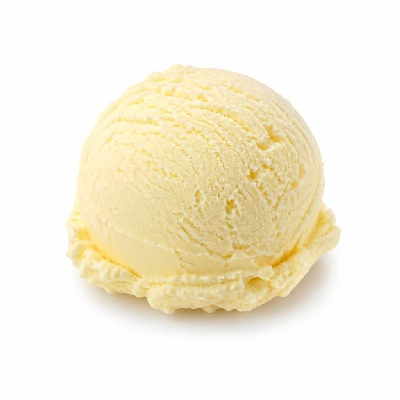 Nestlé Dreyer's Grand Ice Cream French Vanilla