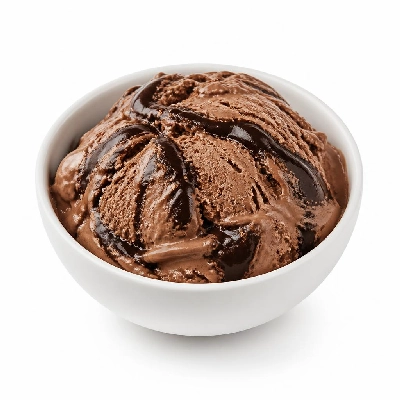 Nestlé Dreyer's Grand Ice Cream Fudge Swirl