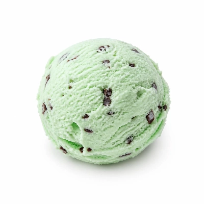 Nestlé Dreyer's Grand Ice Cream Mint Chocolate Chip
