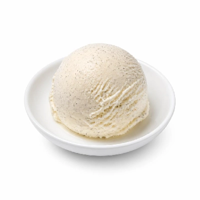 Nestlé Dreyer's Grand Ice Cream Vanilla Bean
