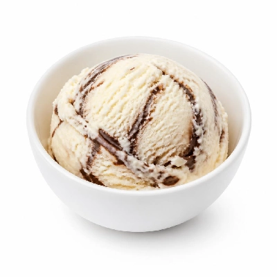 Nestlé Dreyer's Grand Ice Cream Vanilla Chocolate
