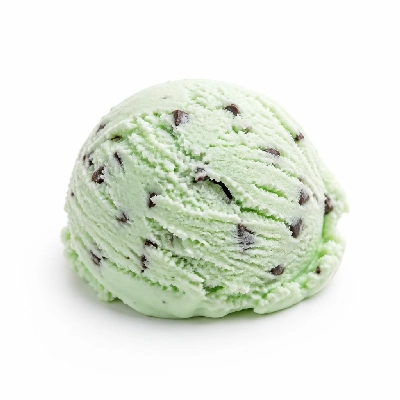 Nestlé Dreyer's Slow Churned No Sugar Added Mint Chocolate Chip