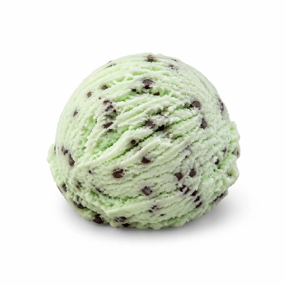 Nestlé Edy's Grand Ice Cream Mint Chocolate Chip