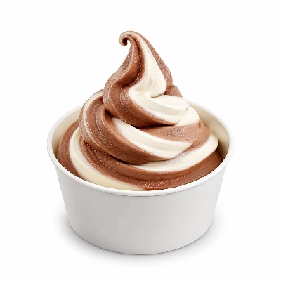 Nestlé Edy's Slow Churned Yogurt Blends Chocolate Vanilla Swirl