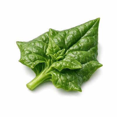 New zealand spinach raw