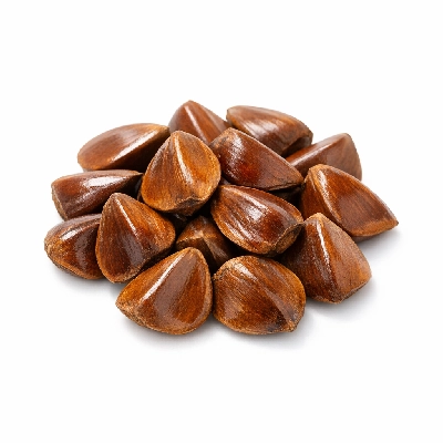 Nuts beechnuts dried