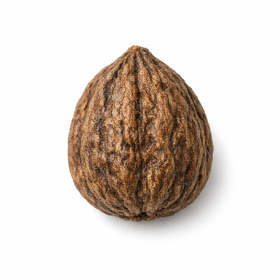 Nuts butternuts dried