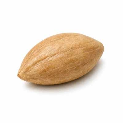 Nuts pilinuts-canarytree dried