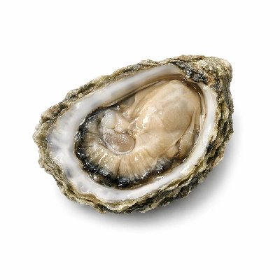 Oyster eastern farmed raw