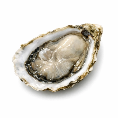 Oyster Pacific raw