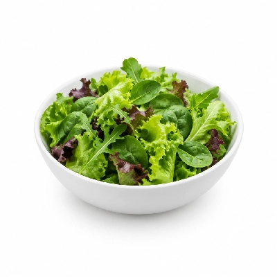 Panera Bread Kids Seasonal Greens Salad