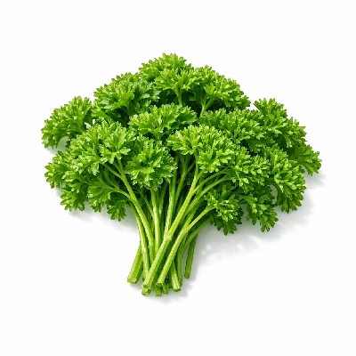 Parsley fresh or raw herb