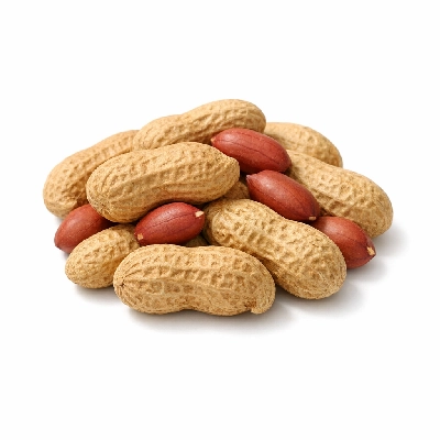 Raw spanish peanuts