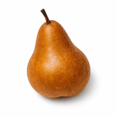 Pears raw bosc