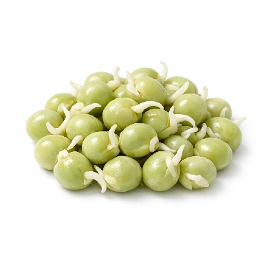 Peas mature seeds sprouted raw
