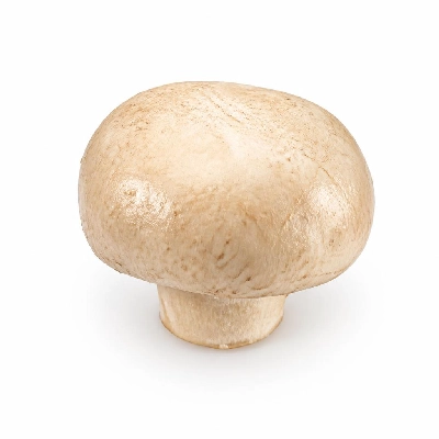 Perkins Restaurant & Bakery 55 Plus Build Your Omelet Fresh Mushrooms