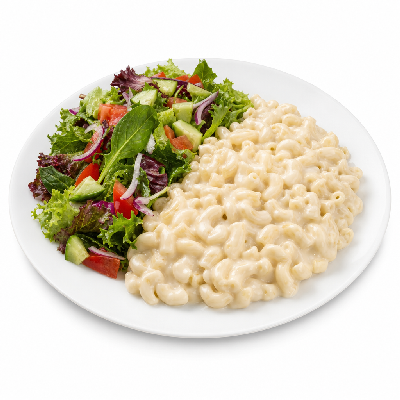 Piada Italian Street Food Alfredo (Small Pasta and Regular Salad)
