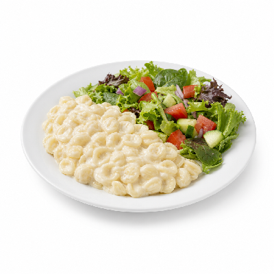 Piada Italian Street Food Creamy Parmesan (Small Pasta and Regular Salad)